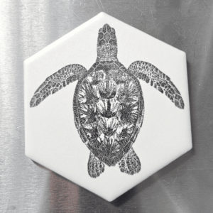 A white ceramic hexagon tile magnet laser engraved with a detailed Hawaiian honu sea turtle