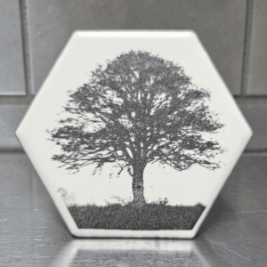 A white hexagonal tree tile magnet showcasing a detailed dark laser engraving of a large leafy oak tree in a field.